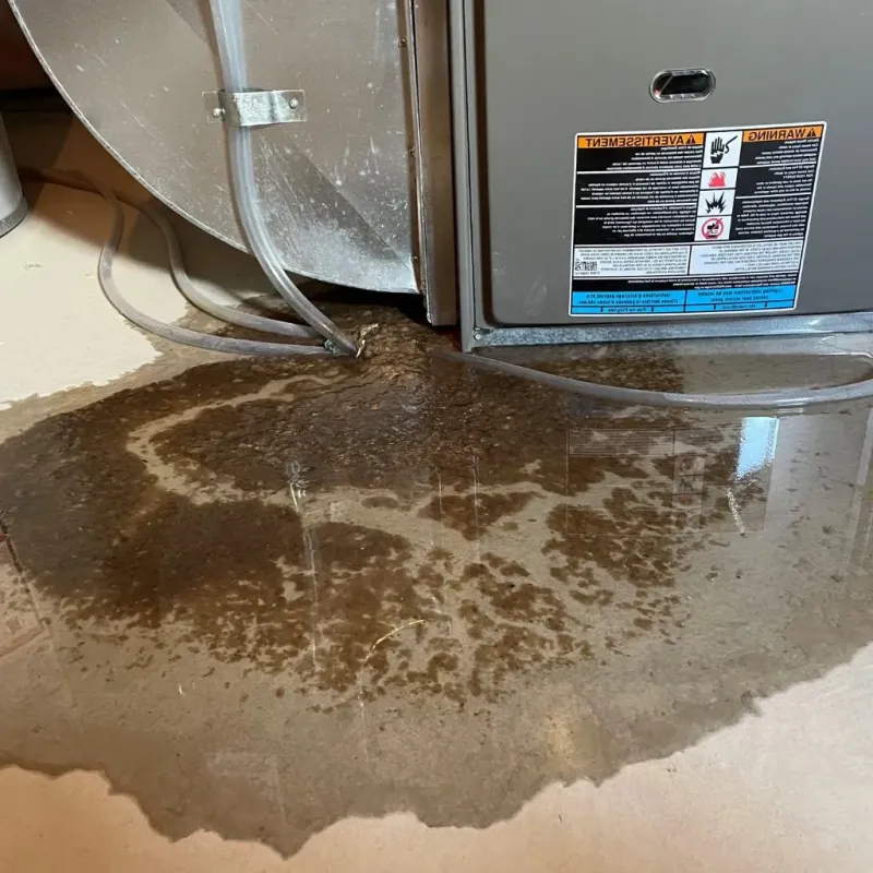 Pipe Burst and Leak Restoration in Bel Air North, MD